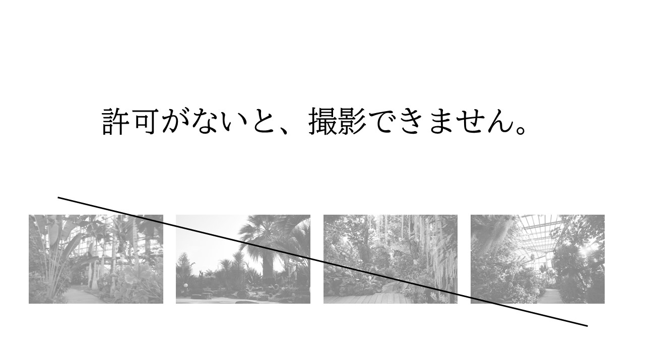 許可がないと、撮影できません