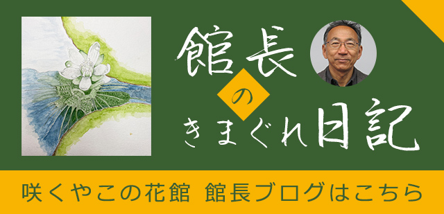 総合案内 大阪の植物園 咲くやこの花館