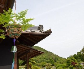 過去のイベント 大阪の植物園 咲くやこの花館