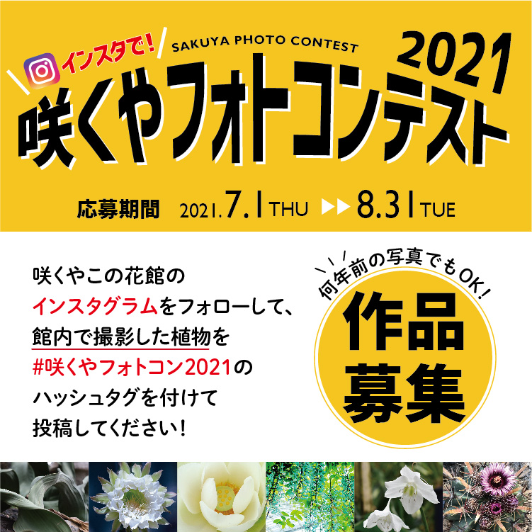 咲くやフォトコンテスト2021 作品募集 | 大阪の植物園-咲くやこの花館－