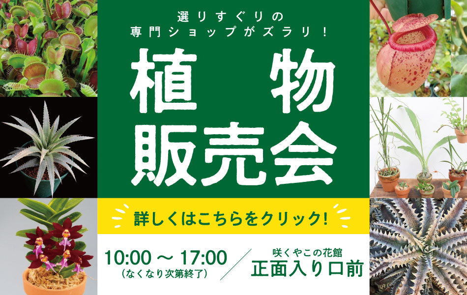 大阪の植物園 咲くやこの花館